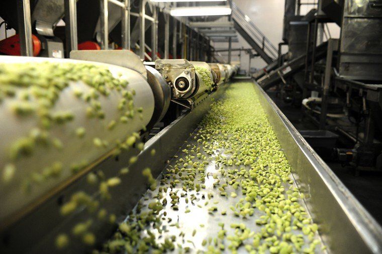 Дезинфекция транспортерной ленты